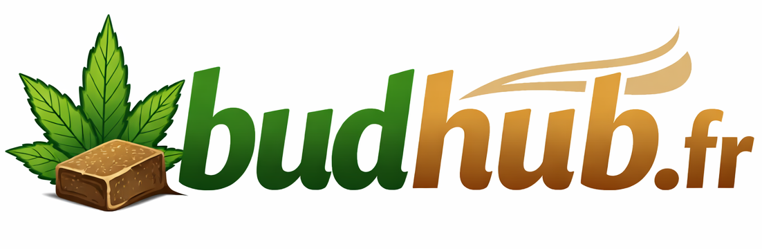 budhub.fr